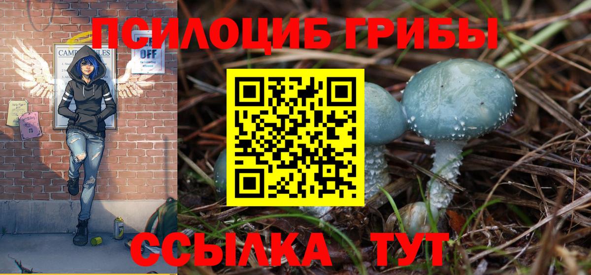 Майский  Галлюциногенные грибы Magic Shrooms  Вход с VPN 