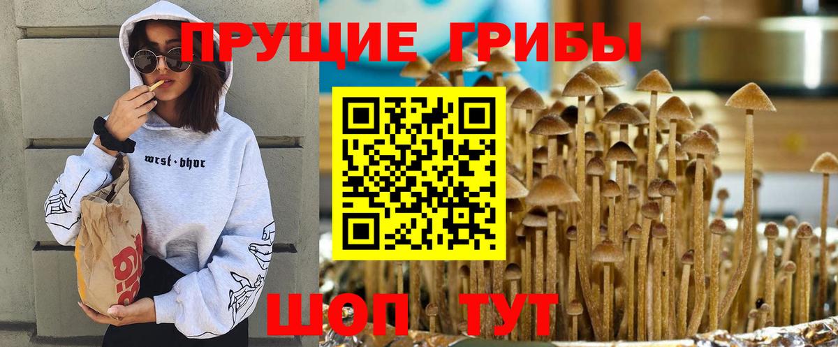 Галлюциногенные грибы мухоморы Майский